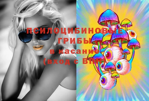 эйфоретик Баксан