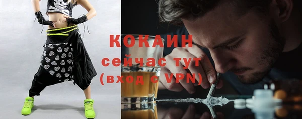 индика Балабаново