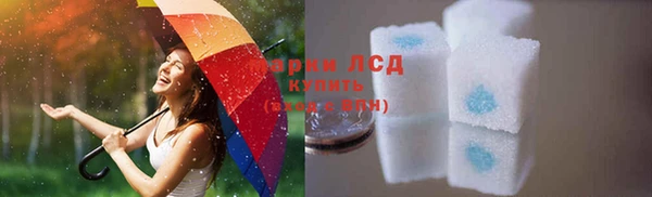 индика Балабаново