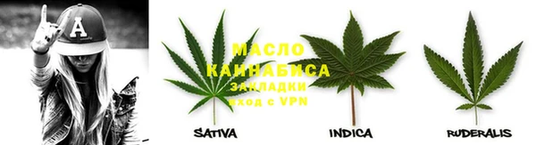 индика Балабаново