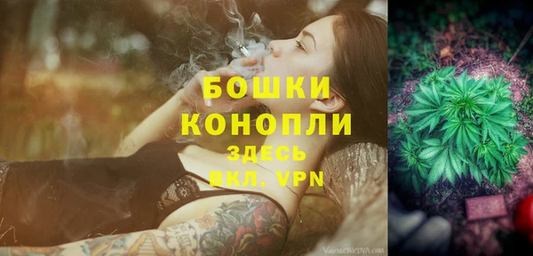 индика Балабаново