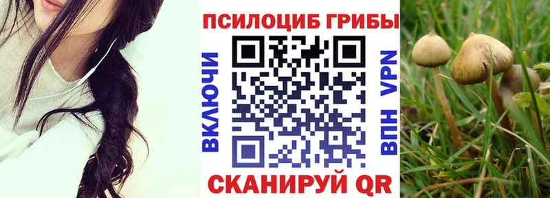 Купить  Гдов  Псилоцибиновые грибы GOLDEN TEACHER 